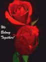 for u
